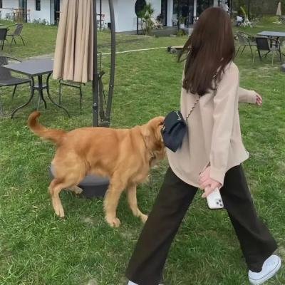 红衣小女孩