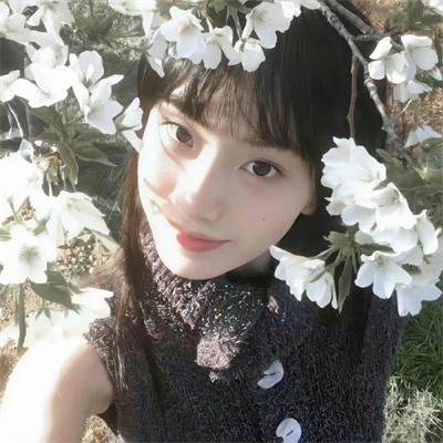 活死人之岛